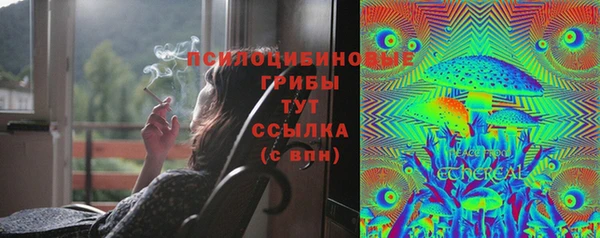 скорость Арсеньев