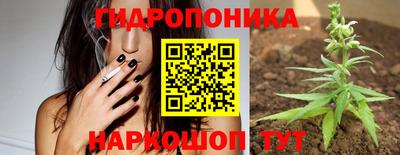 СК Тула