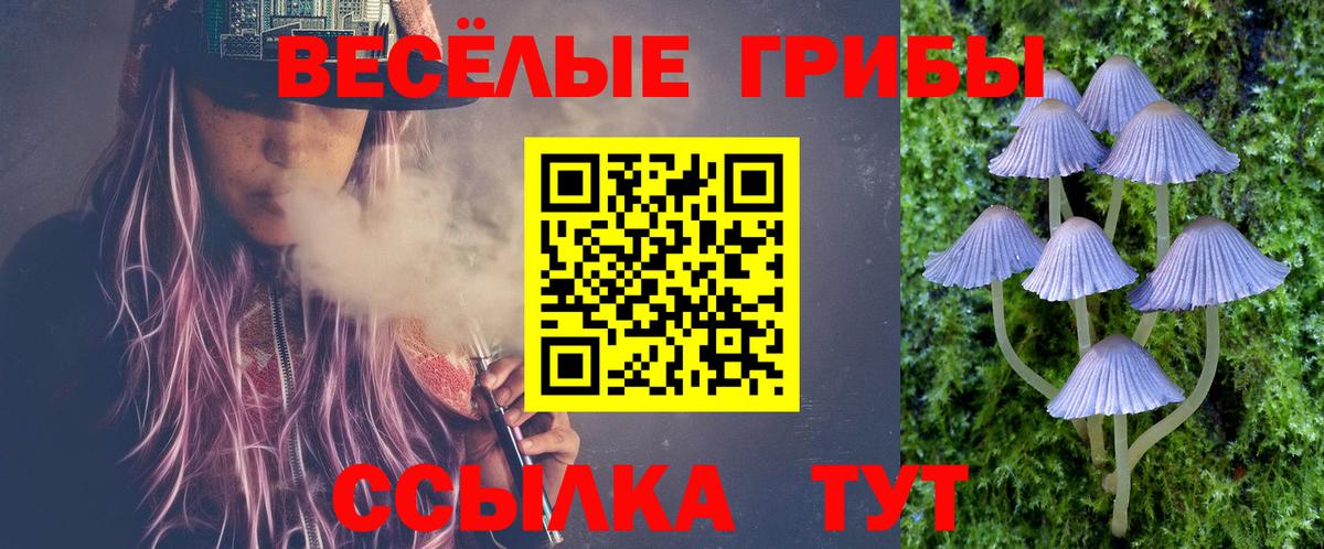 Псилоцибиновые грибы Cubensis Строитель